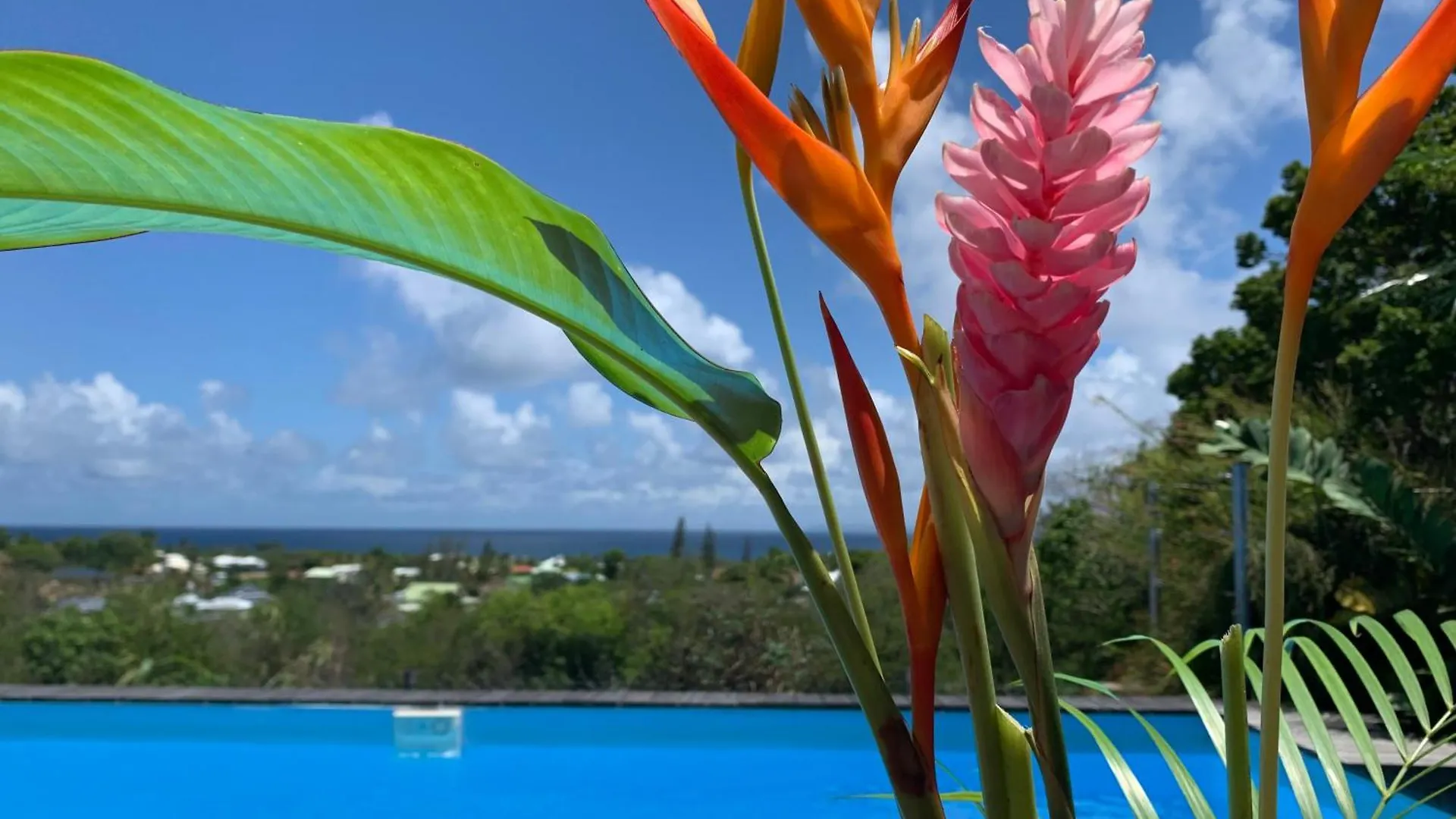 Villa Balisier Vue Mer Piscine Privee -V. Ciel&Mer Saint-Francois